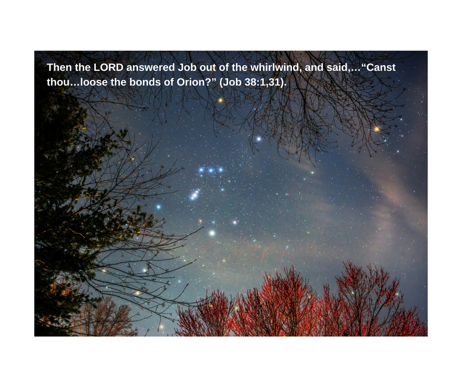 11-The Constellation of Orion